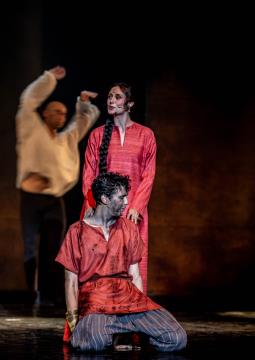 Krst pri Savici, Avditorij-19